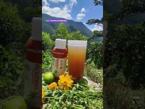 “Concentrado de Chancapiedra Santa Natura – Detox para Riñón, Vesícula y Hígado”